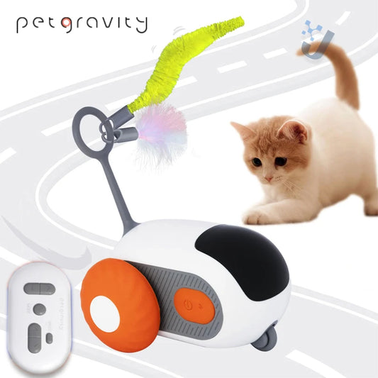 Pet Smart Interactive