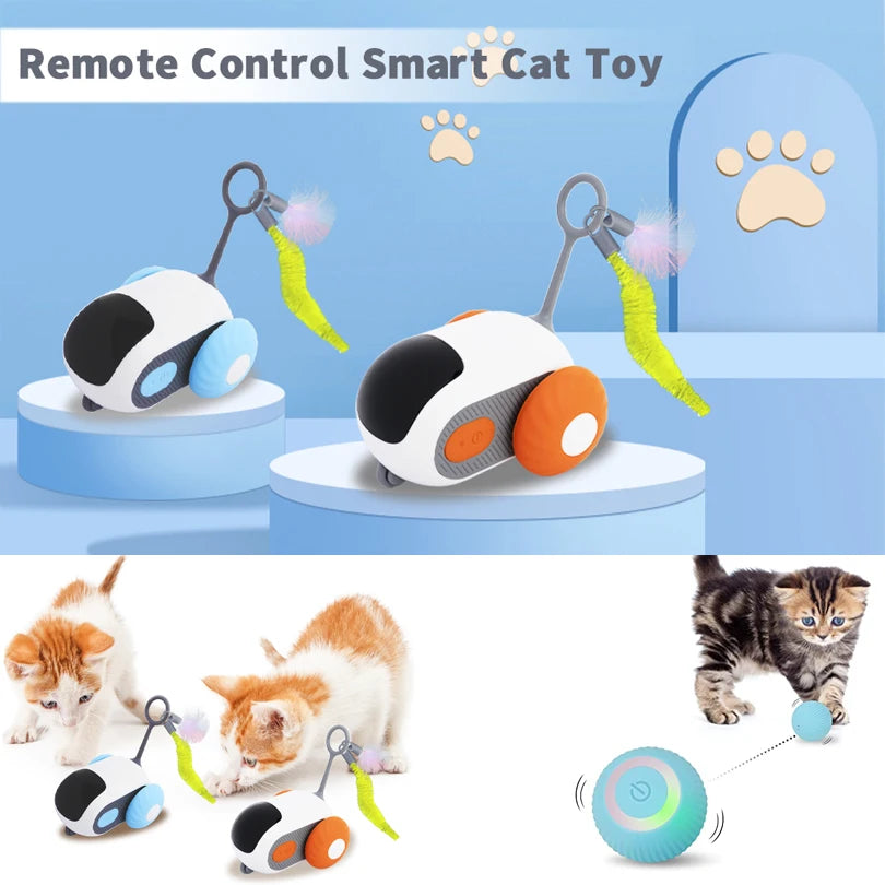 Pet Smart Interactive